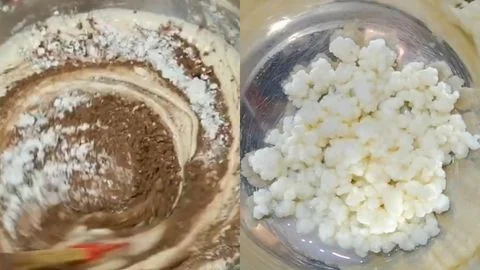 Add Cocoa and Fermented Milk With Bake the Cake