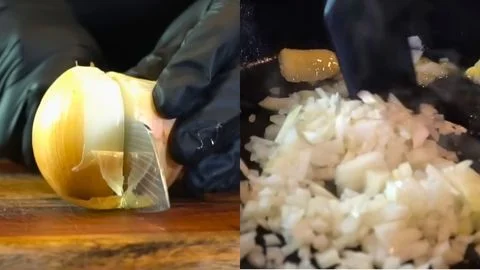 Sauté the Onion