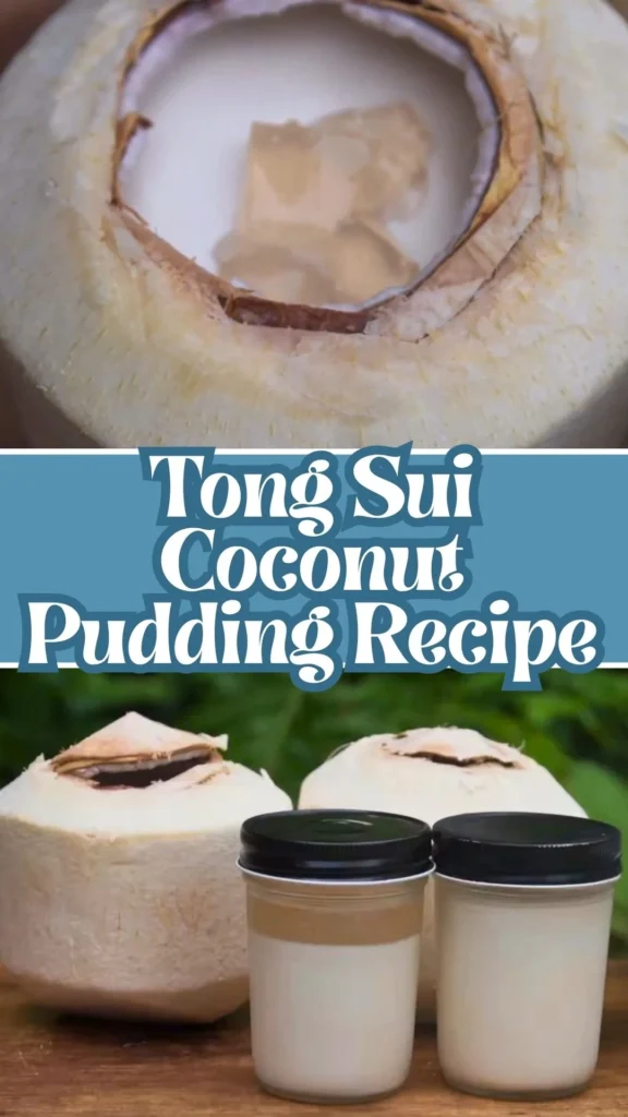 Tong Sui Coconut Pudding