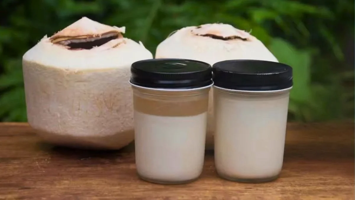 Tong Sui Coconut Pudding Recipe